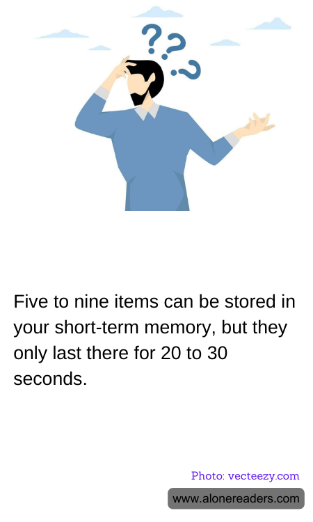 General Knowledge Learning Cards