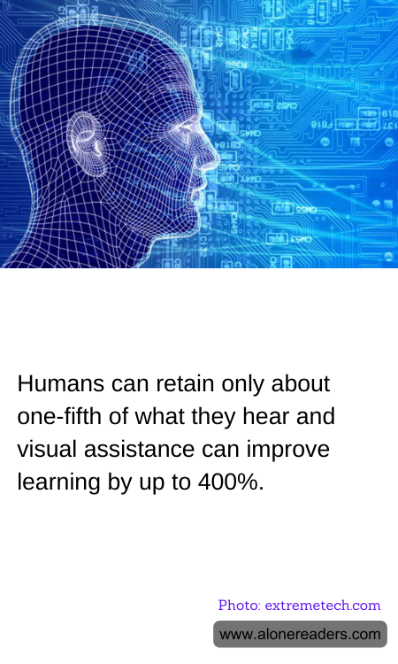 General Knowledge Learning Cards