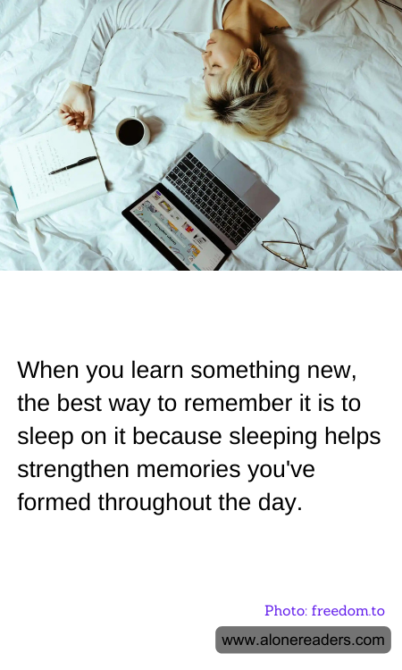 General Knowledge Learning Cards