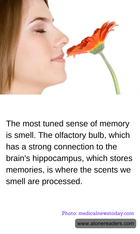 The most tuned sense of memory is smell. The olfactory bulb, which has a strong connection to the brain's hippocampus, which stores memories, is where the scents we smell are processed.