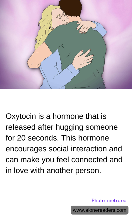 General Knowledge Learning Cards