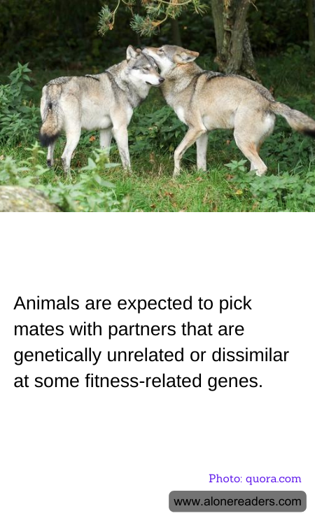 General Knowledge Learning Cards