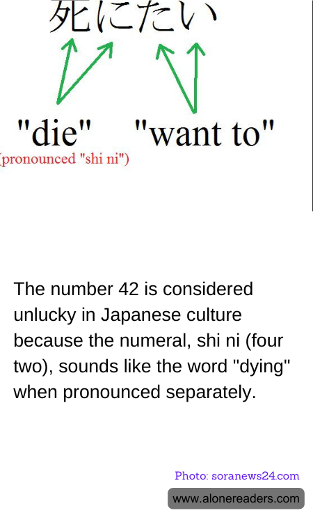 General Knowledge Learning Cards