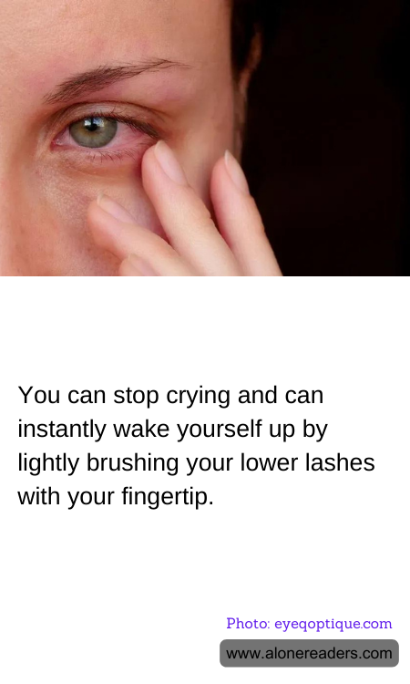 General Knowledge Learning Cards