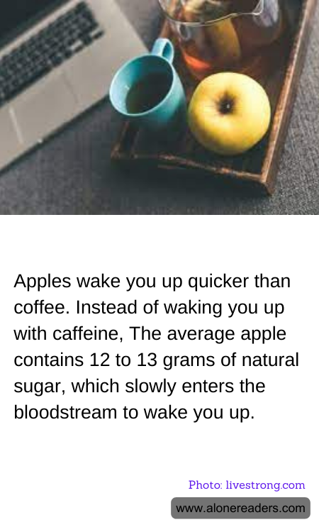 General Knowledge Learning Cards