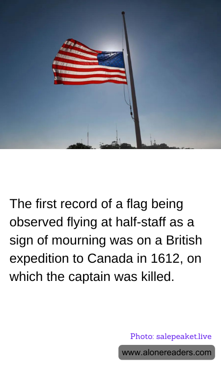 General Knowledge Learning Cards