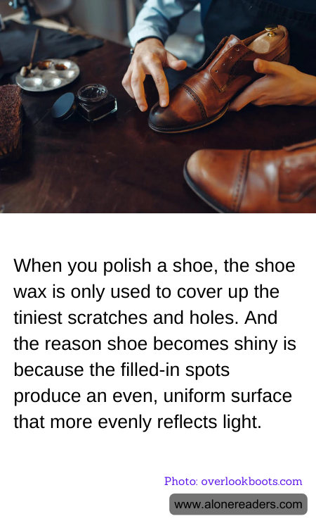 When you polish a shoe, the shoe wax is only used to cover up the tiniest scratches and holes. And the reason shoe becomes shiny is because the filled-in spots produce an even, uniform surface that more evenly reflects light.