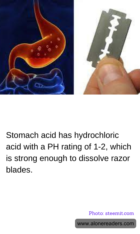 Stomach acid has hydrochloric acid with a PH rating of 1-2, which is strong enough to dissolve razor blades.