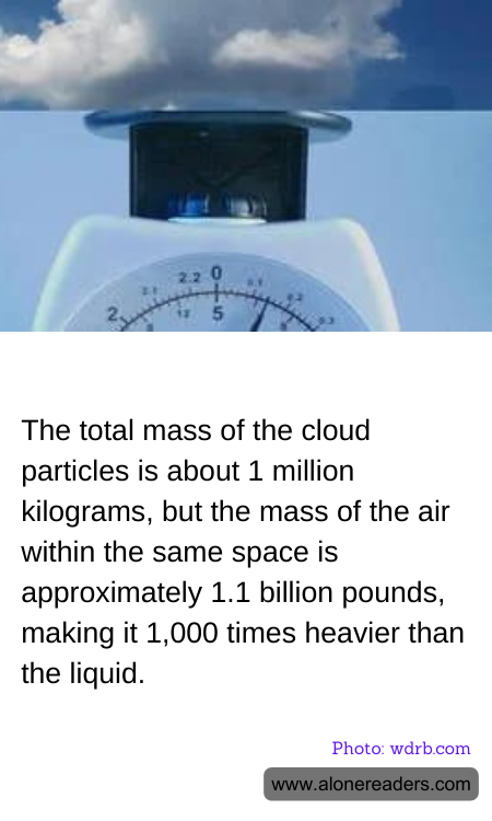 General Knowledge Learning Cards