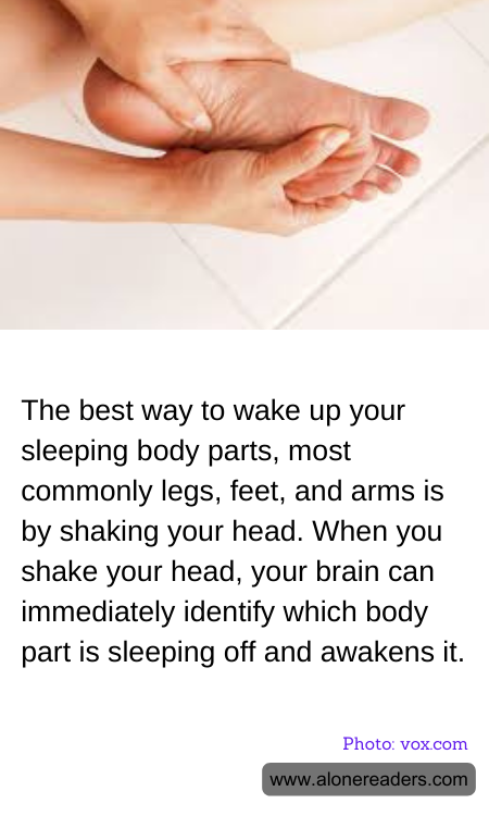 General Knowledge Learning Cards