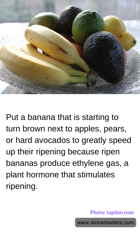 Put a banana that is starting to turn brown next to apples, pears, or hard avocados to greatly speed up their ripening because ripen bananas produce ethylene gas, a plant hormone that stimulates ripening.