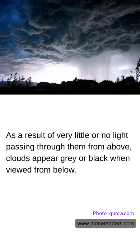 General Knowledge Learning Cards