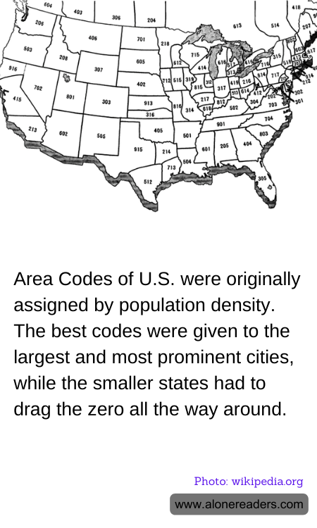 Area Codes of U.S. were originally assigned by population density. The best codes were given to the largest and most prominent cities, while the smaller states had to drag the zero all the way around.