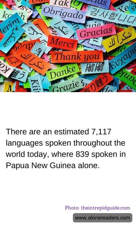 General Knowledge Learning Cards