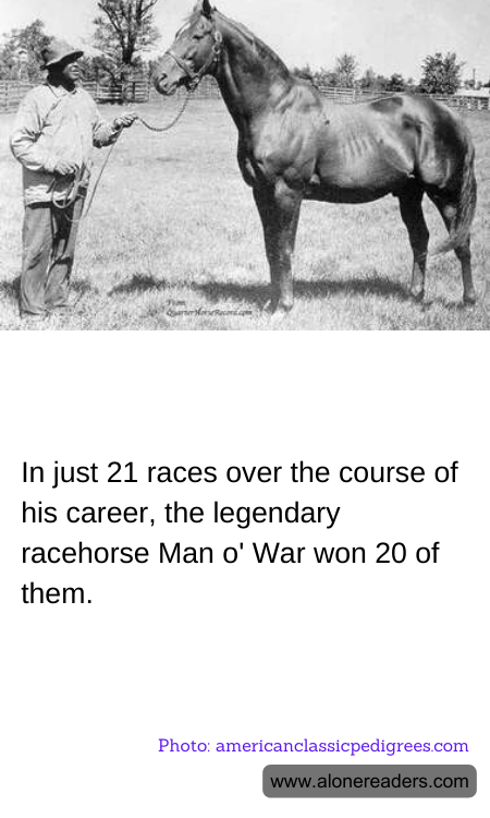 In just 21 races over the course of his career, the legendary racehorse Man o' War won 20 of them.