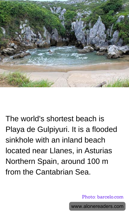 General Knowledge Learning Cards