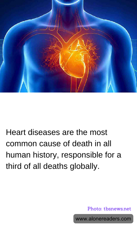 General Knowledge Learning Cards