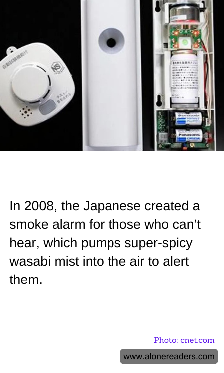 General Knowledge Learning Cards