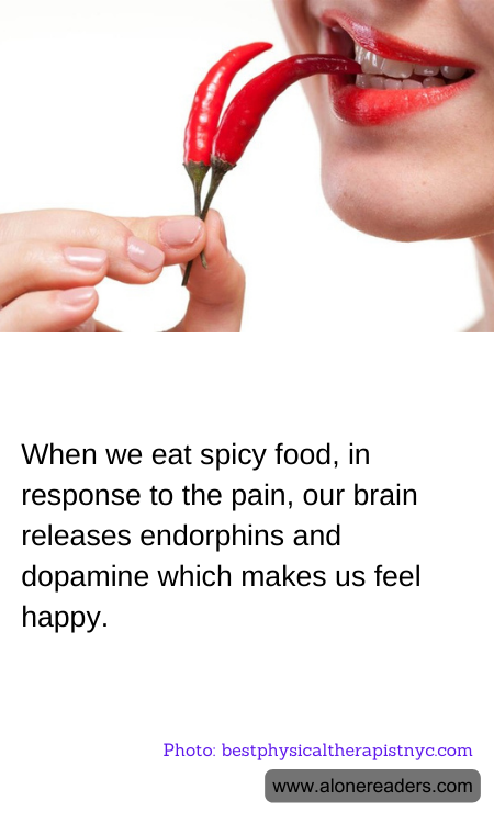 General Knowledge Learning Cards