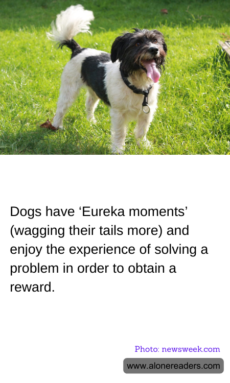 General Knowledge Learning Cards