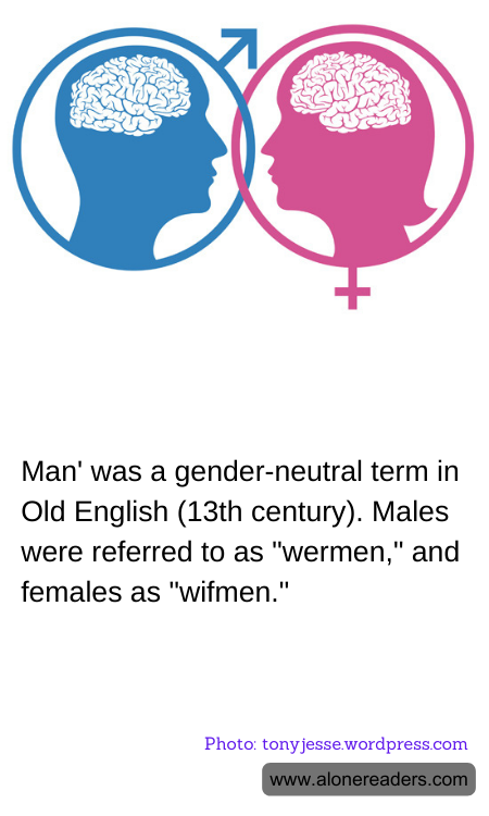 General Knowledge Learning Cards