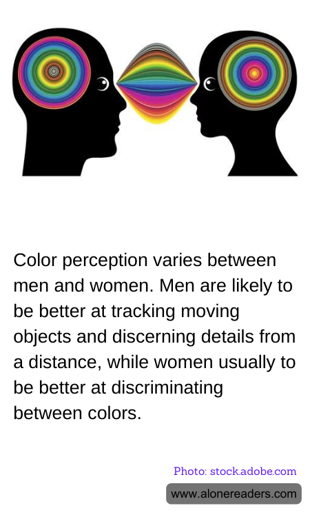 General Knowledge Learning Cards