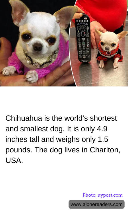 General Knowledge Learning Cards