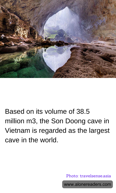 General Knowledge Learning Cards