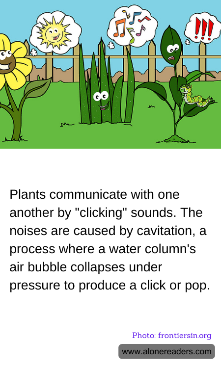 General Knowledge Learning Cards