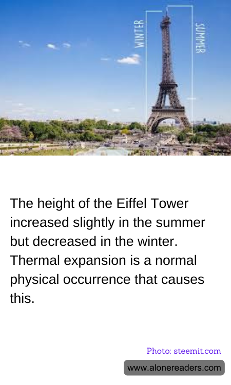 General Knowledge Learning Cards