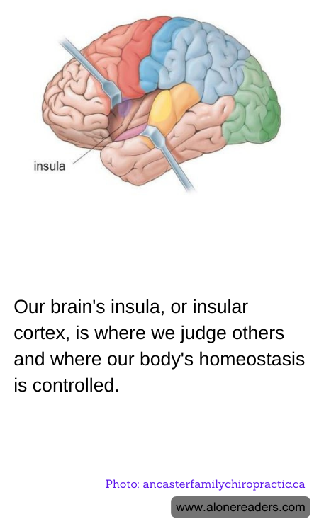 General Knowledge Learning Cards