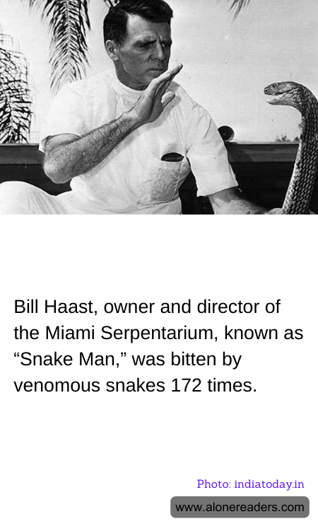 General Knowledge Learning Cards