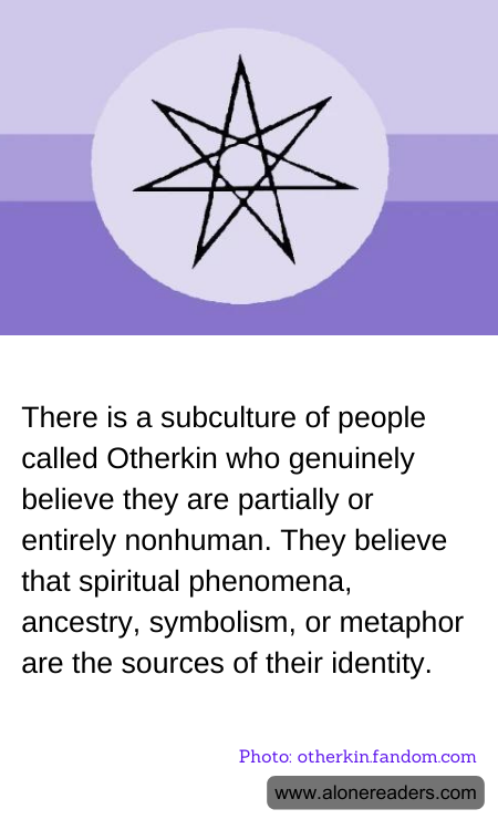 General Knowledge Learning Cards