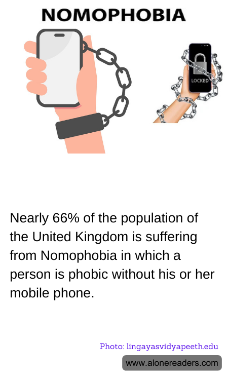 General Knowledge Learning Cards