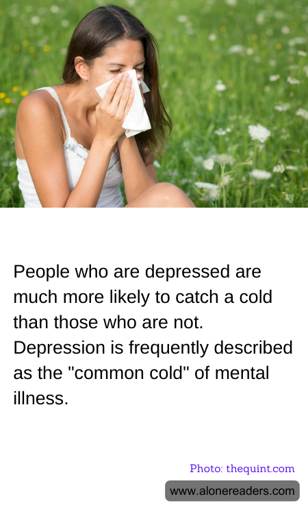 General Knowledge Learning Cards