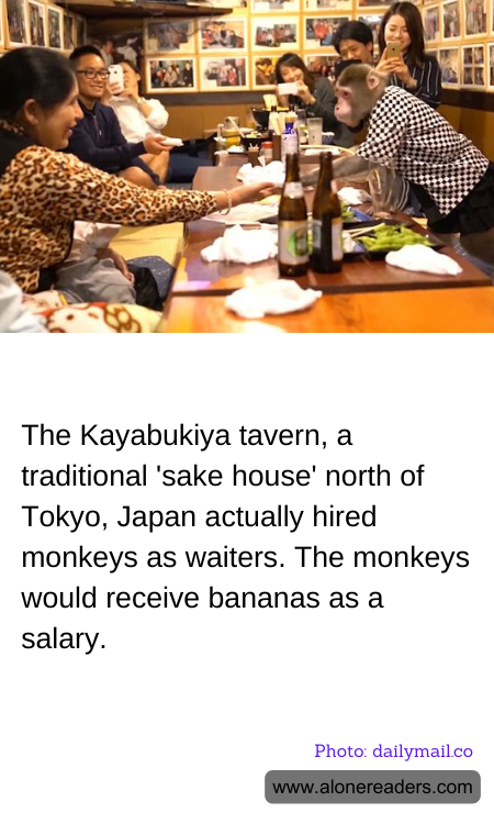 General Knowledge Learning Cards