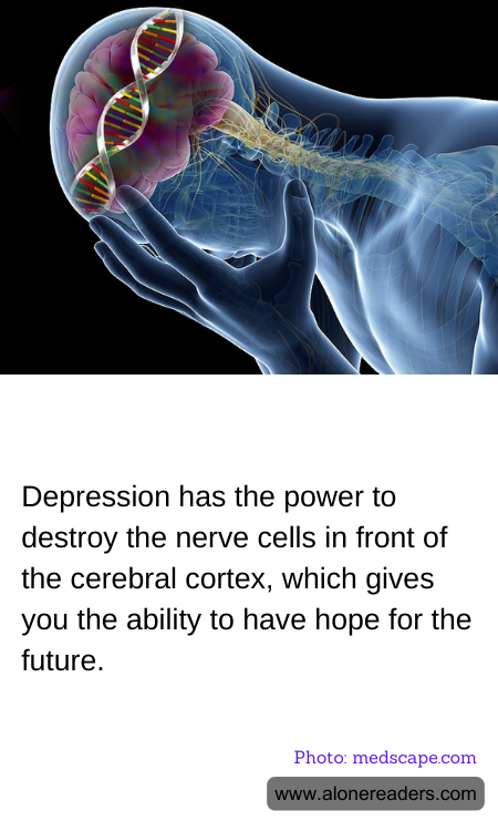 General Knowledge Learning Cards