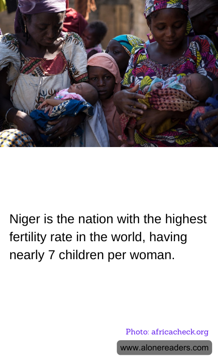 General Knowledge Learning Cards