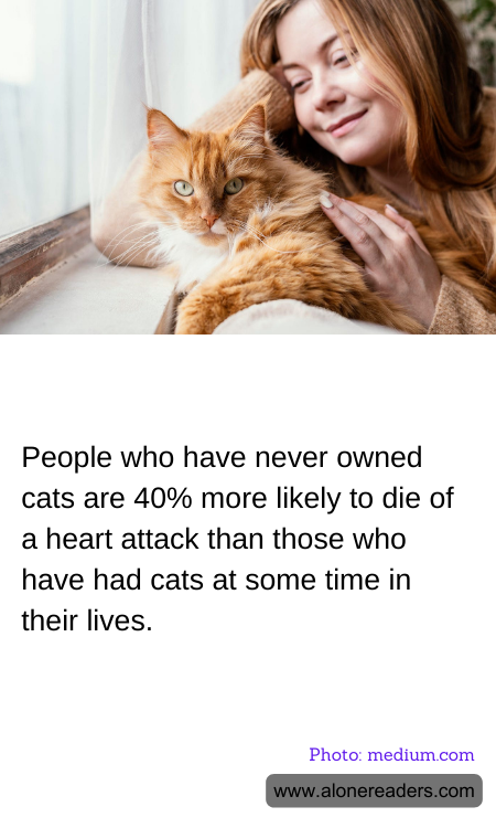 General Knowledge Learning Cards