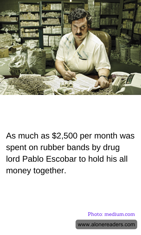 General Knowledge Learning Cards