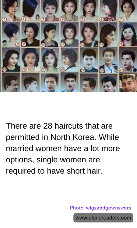 General Knowledge Learning Cards