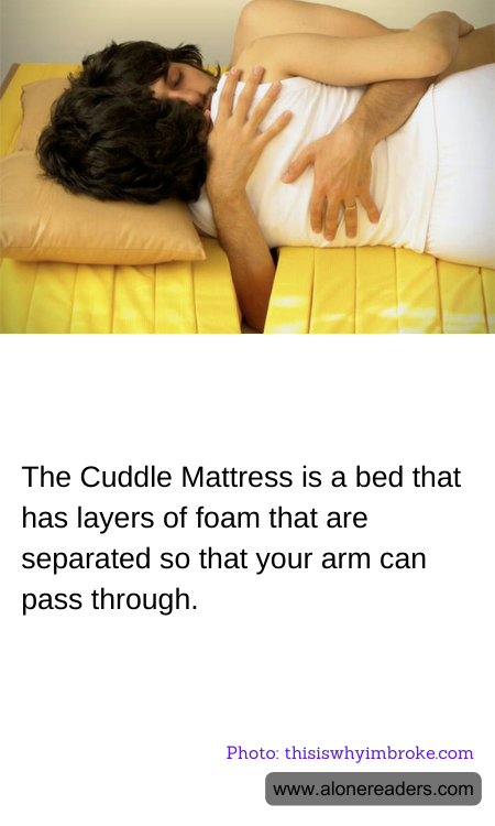 General Knowledge Learning Cards