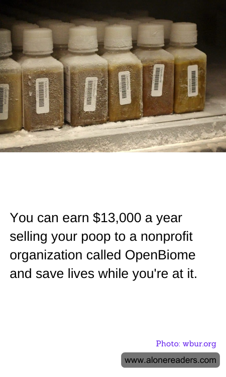 General Knowledge Learning Cards