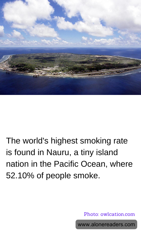 General Knowledge Learning Cards