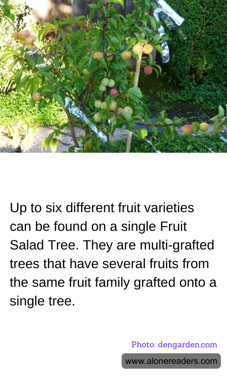 General Knowledge Learning Cards