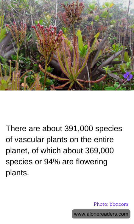 General Knowledge Learning Cards