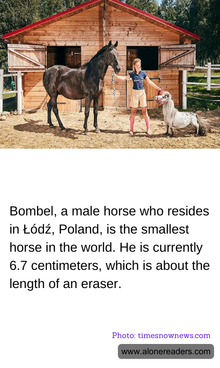 General Knowledge Learning Cards