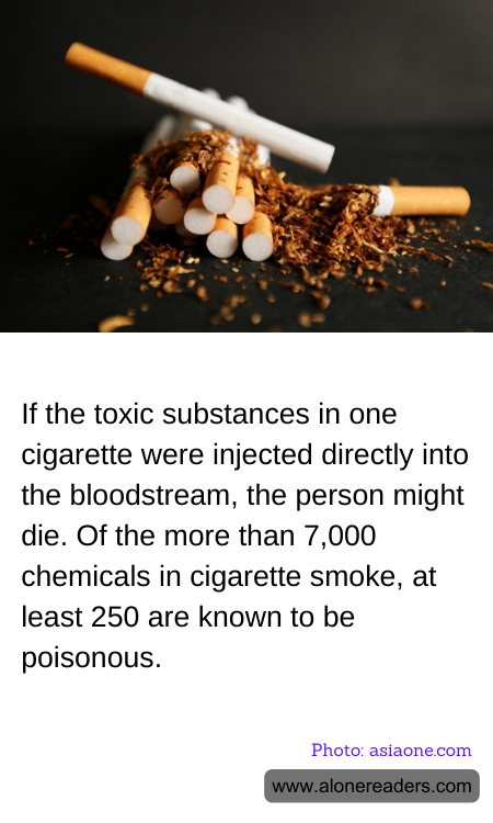 General Knowledge Learning Cards