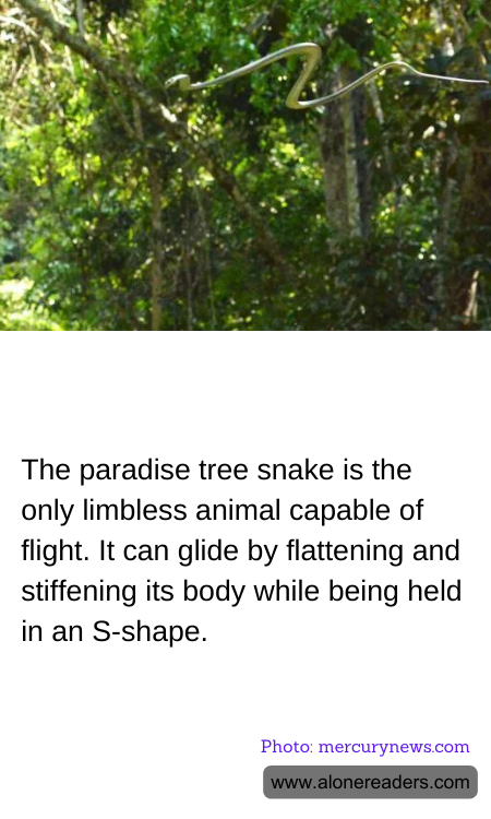 General Knowledge Learning Cards