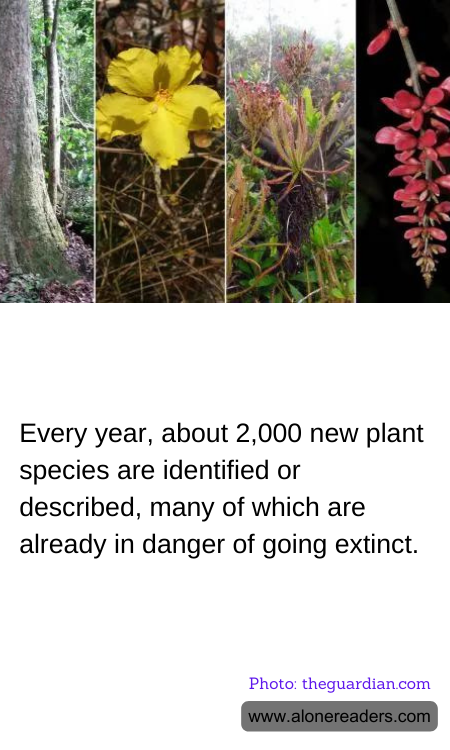 General Knowledge Learning Cards